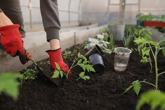Tuinman in Den helder
