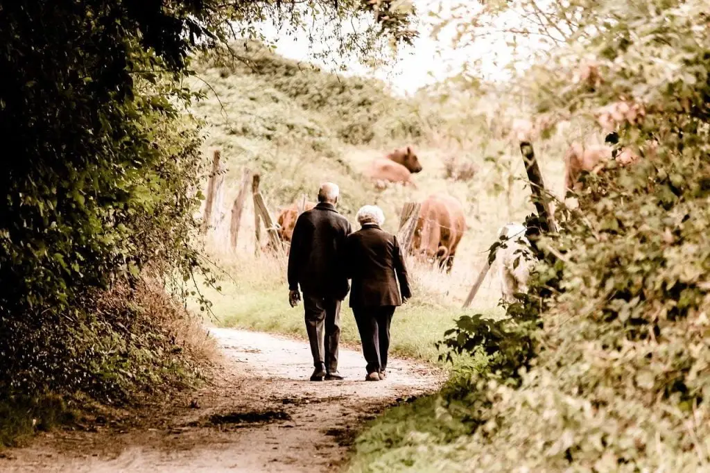 Wandelroutes in Den helder