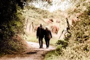 Wandelroutes in Den helder